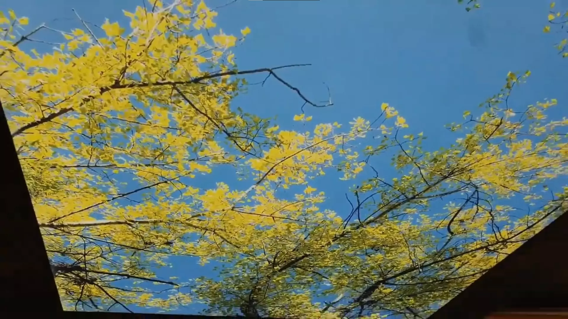 Москва, Вешняковская, 29Б, фото 2