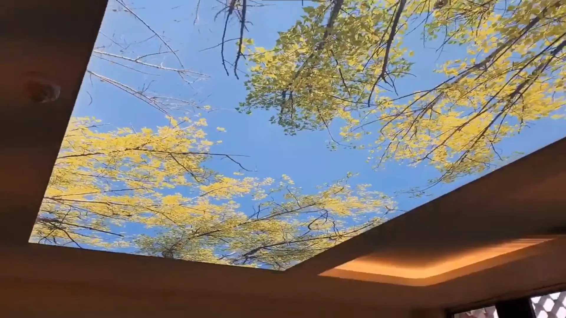 Москва, Вешняковская, 29Б, фото 3